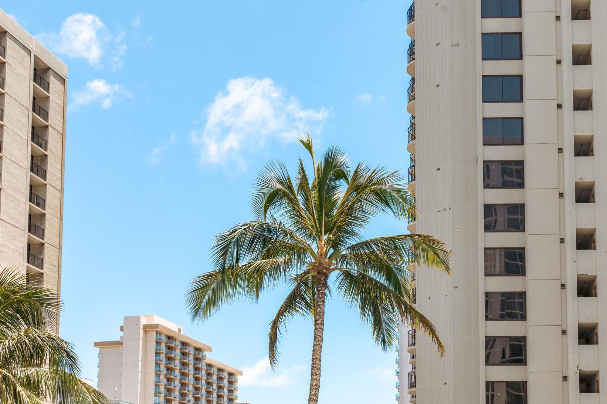 Aloha Vibes With Ocean Views, Near Beach & Parking! 檀香山 外观 照片
